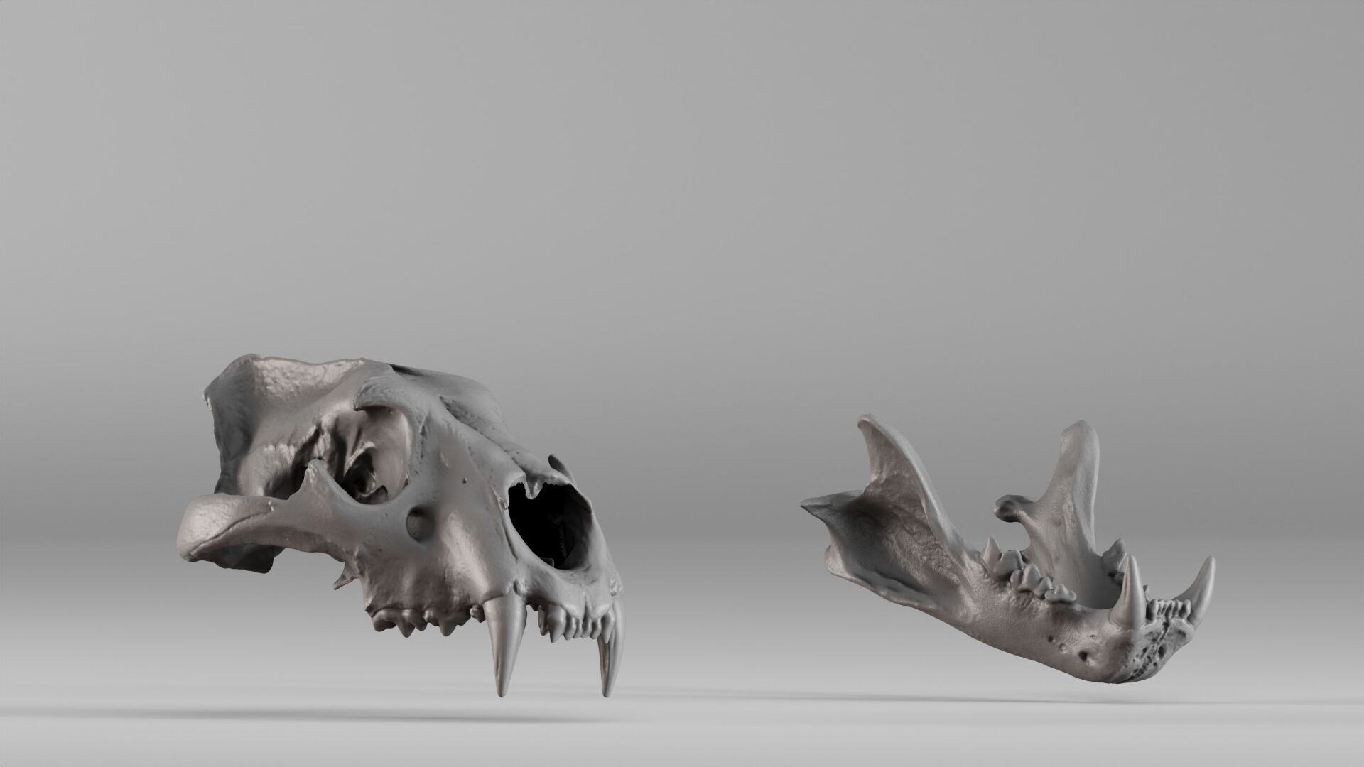 001602 Lion Skull 3D print model_39