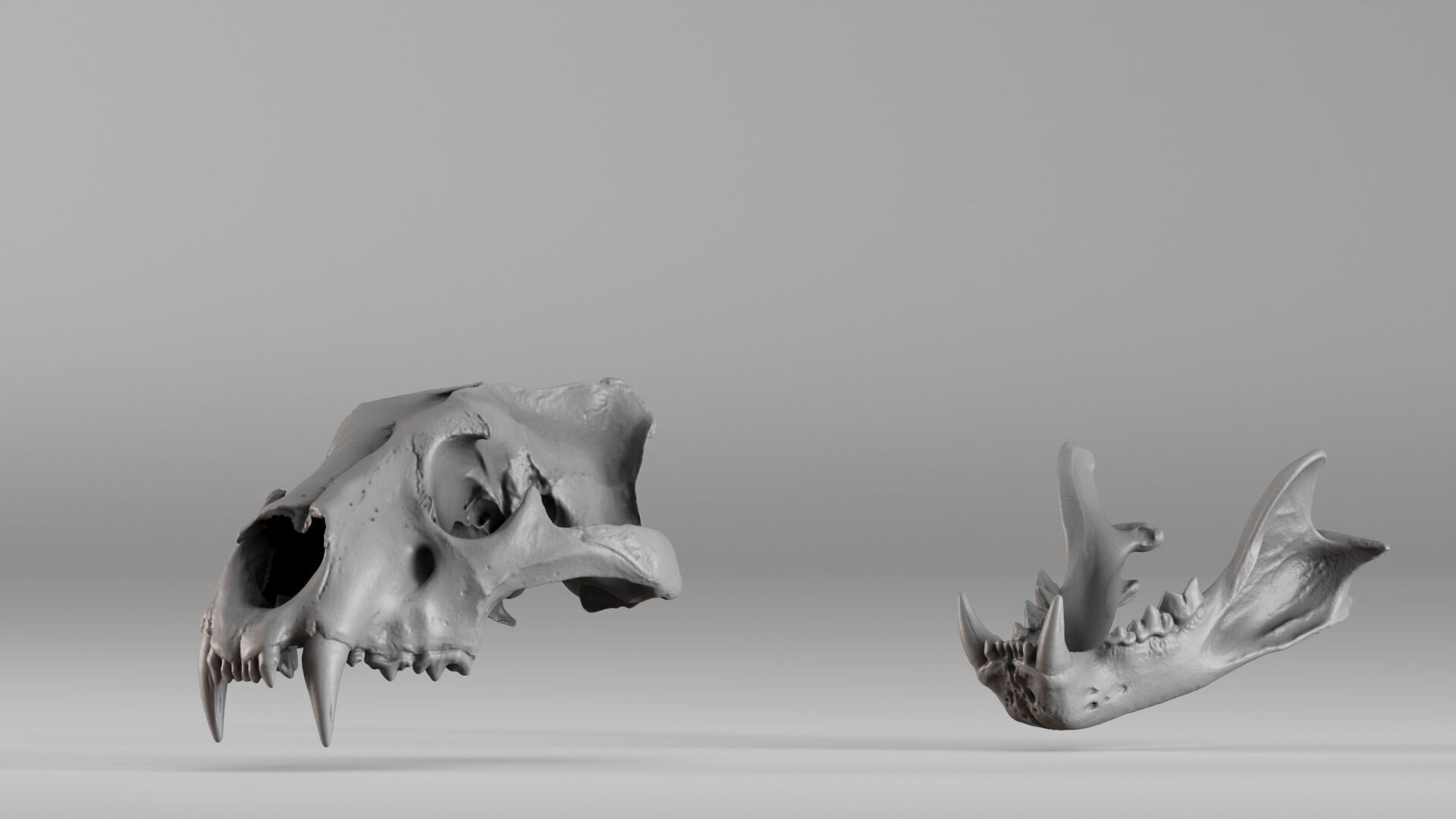 001602 Lion Skull 3D print model_29