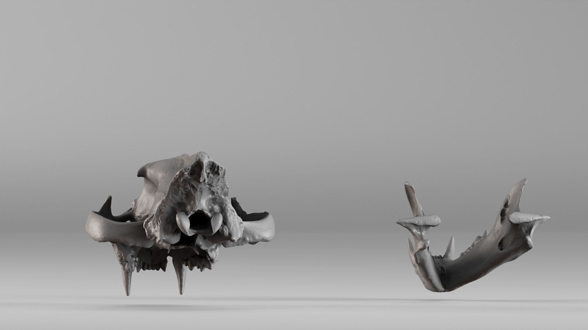 001602 Lion Skull 3D print model_19
