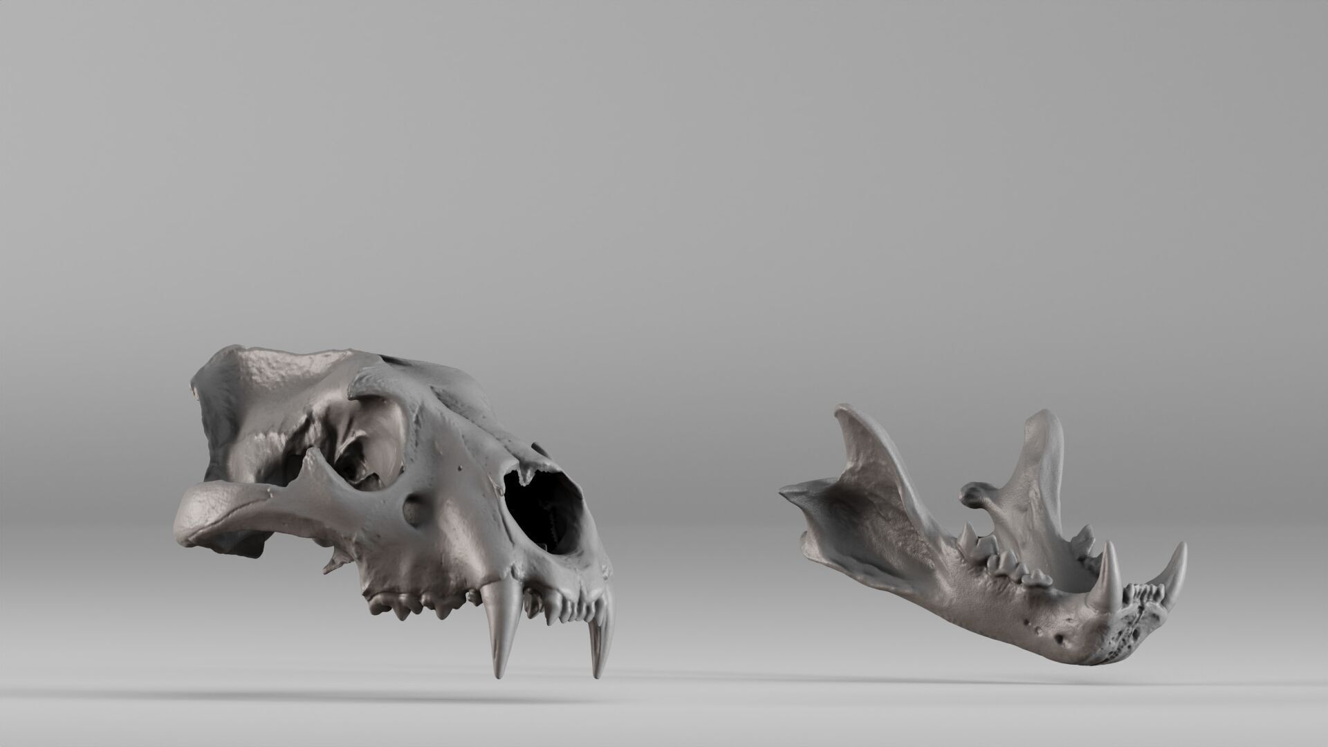 001602 Lion Skull 3D print model_1
