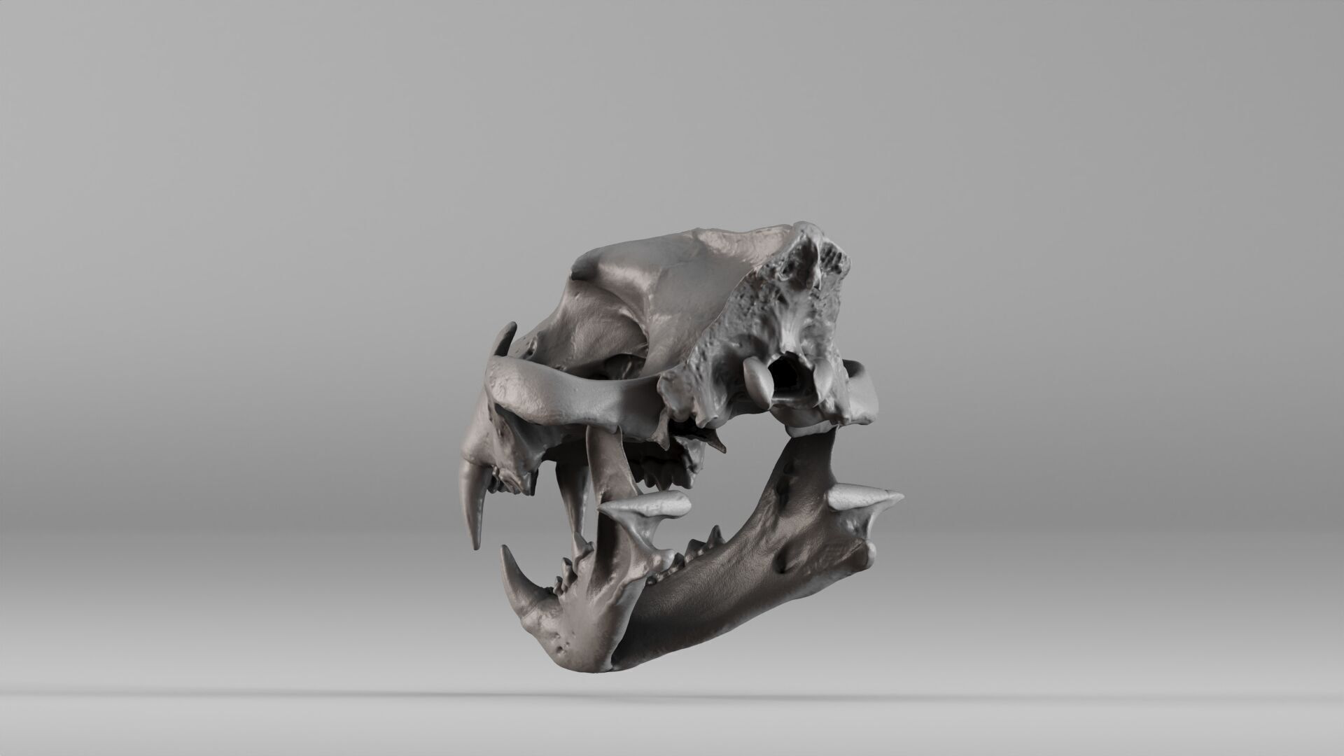 001602 Lion Skull 3D print model_26