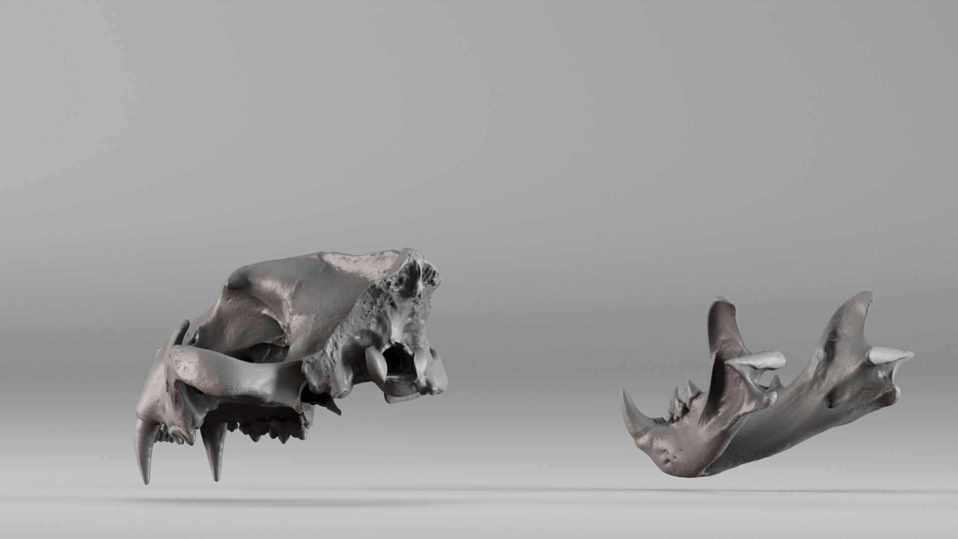 001602 Lion Skull 3D print model_21