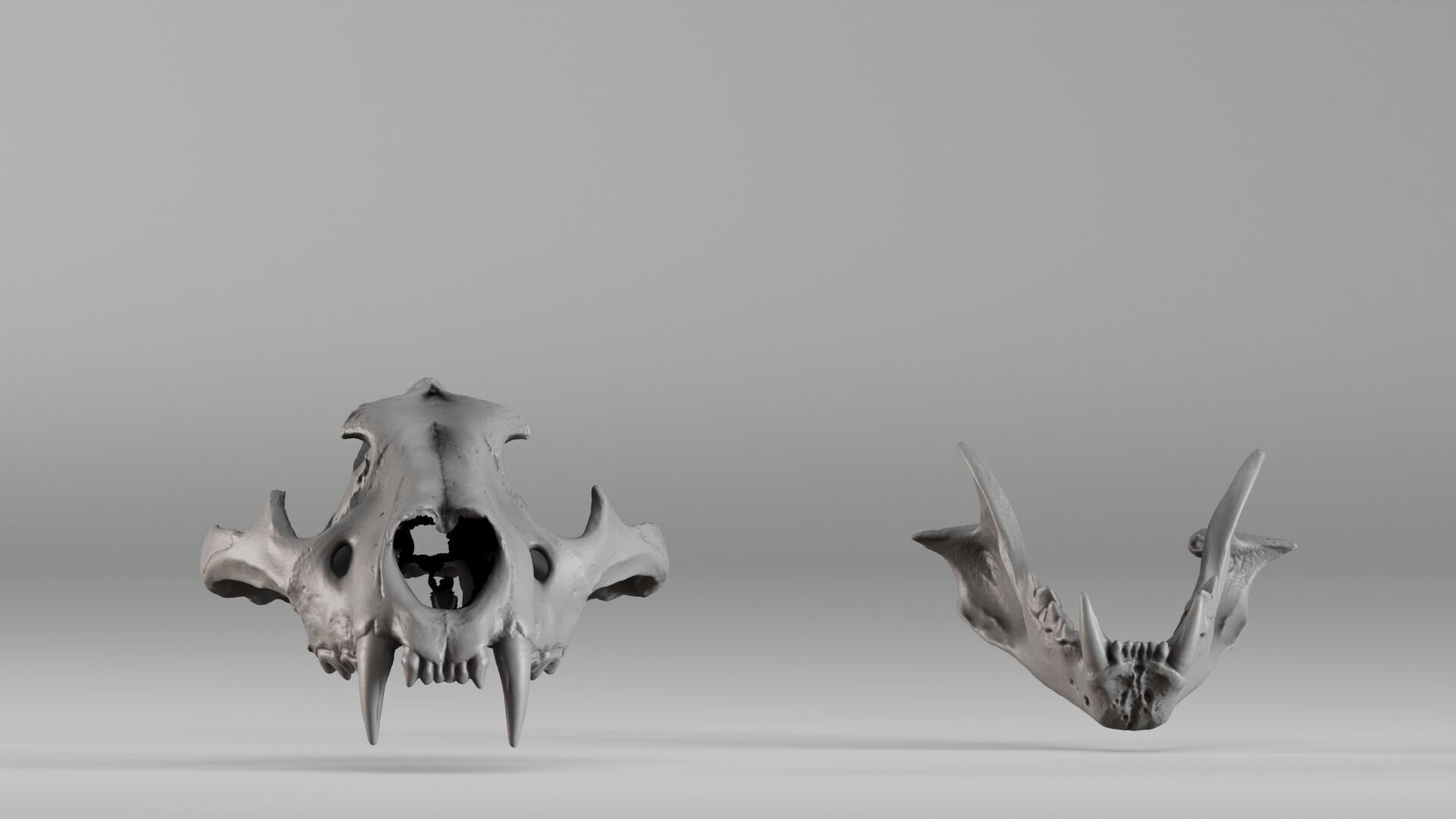 001602 Lion Skull 3D print model_33