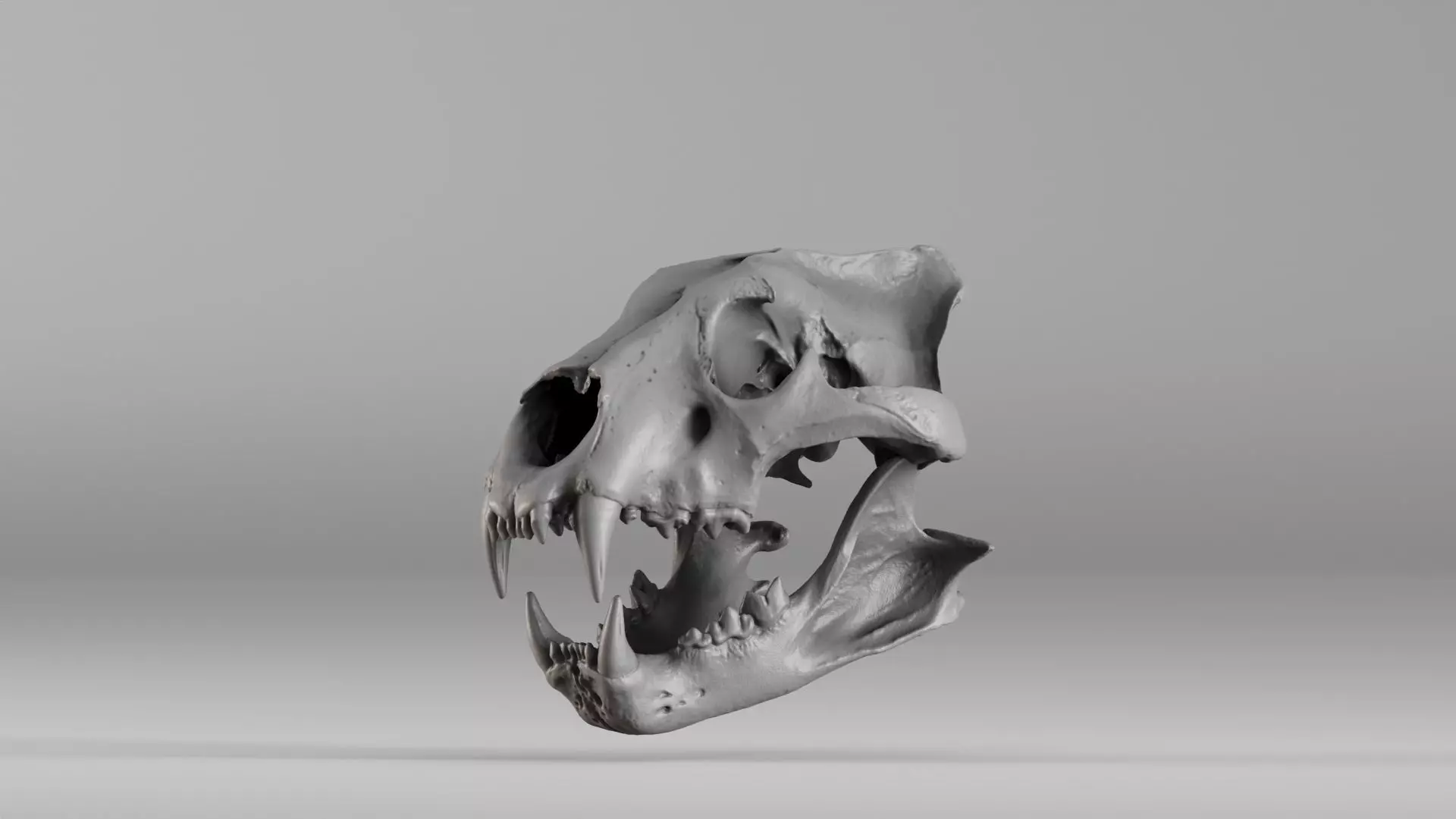 001602 Lion Skull 3D print model_0