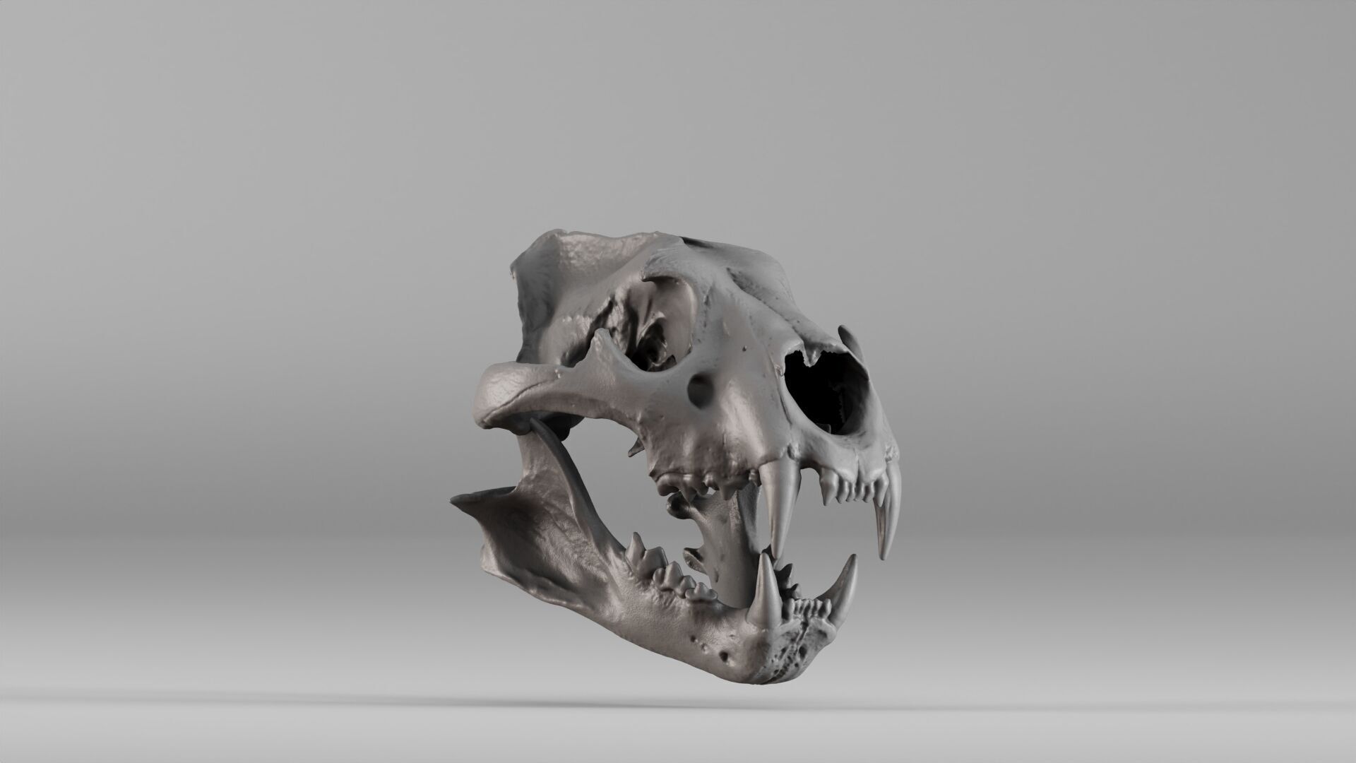 001602 Lion Skull 3D print model_12