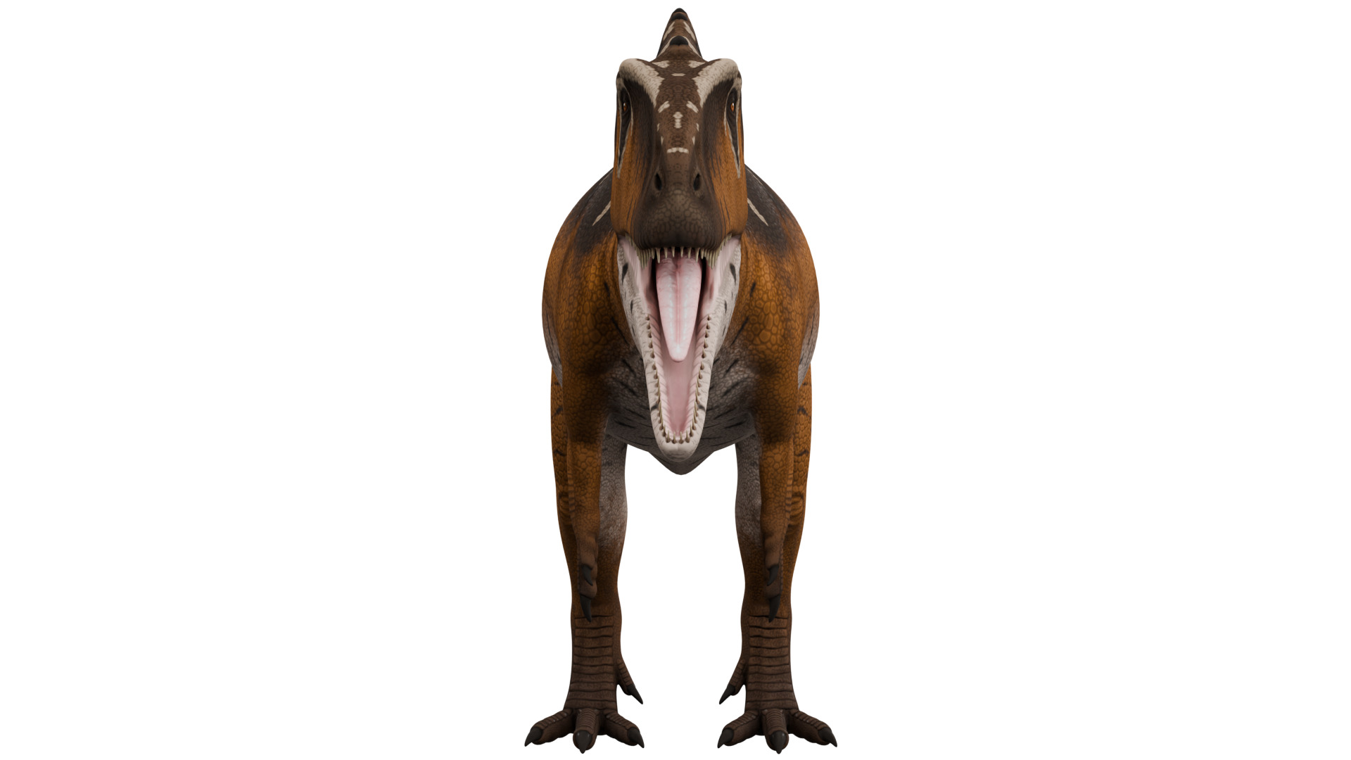 Acrocanthosaurus 3D model_7