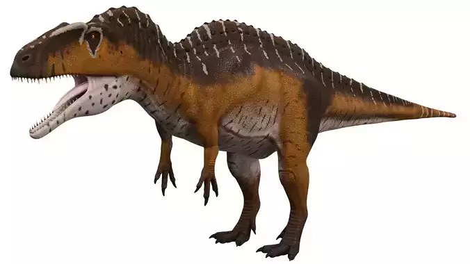 Acrocanthosaurus 3D model