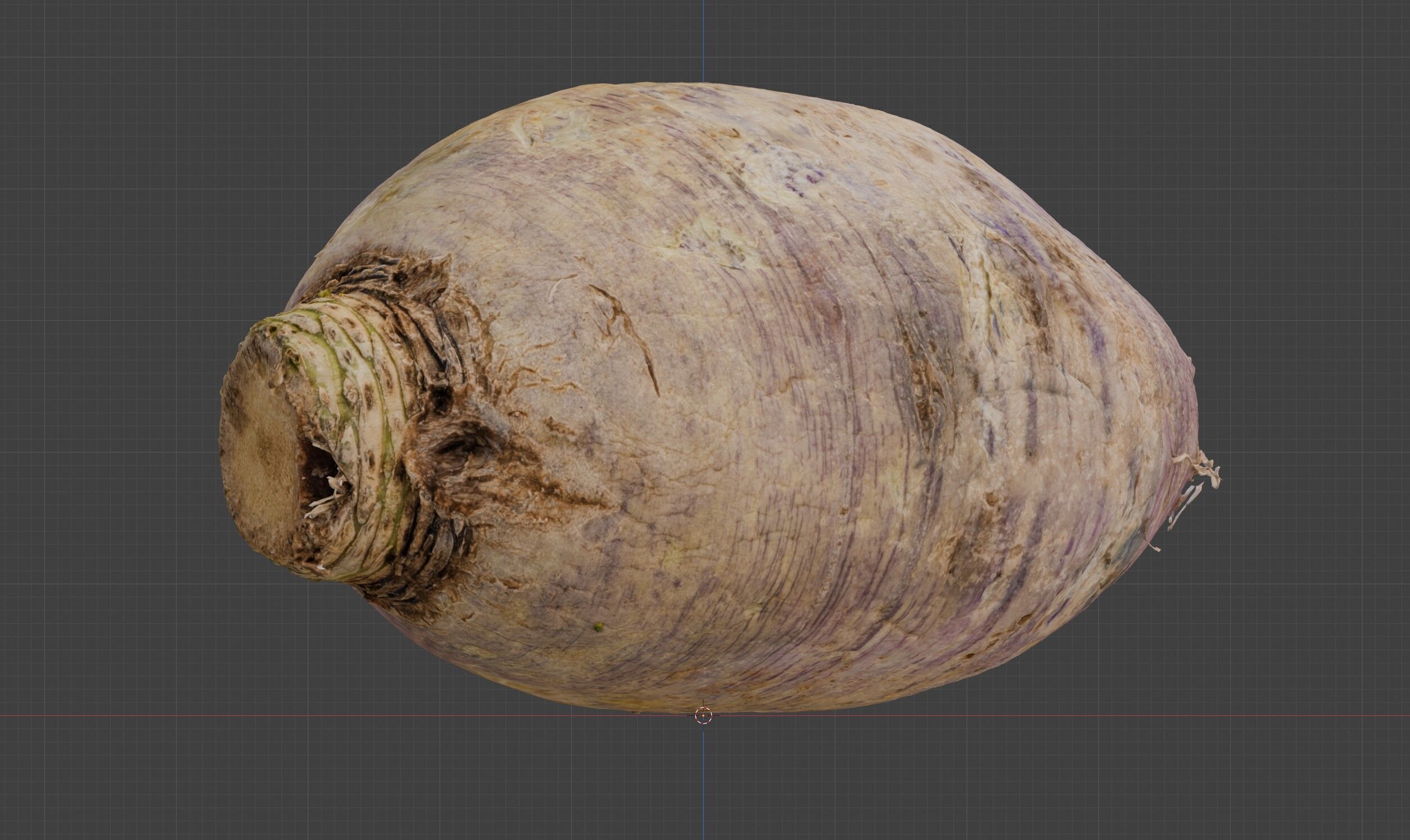 radish 3D model_3