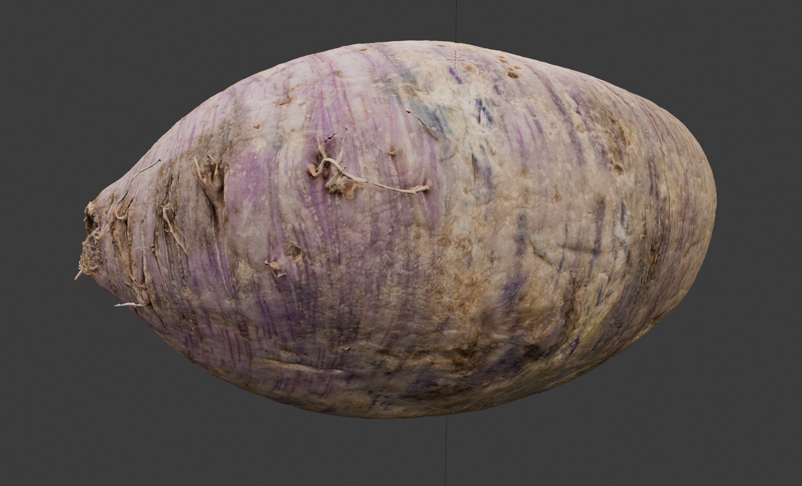 radish 3D model_1