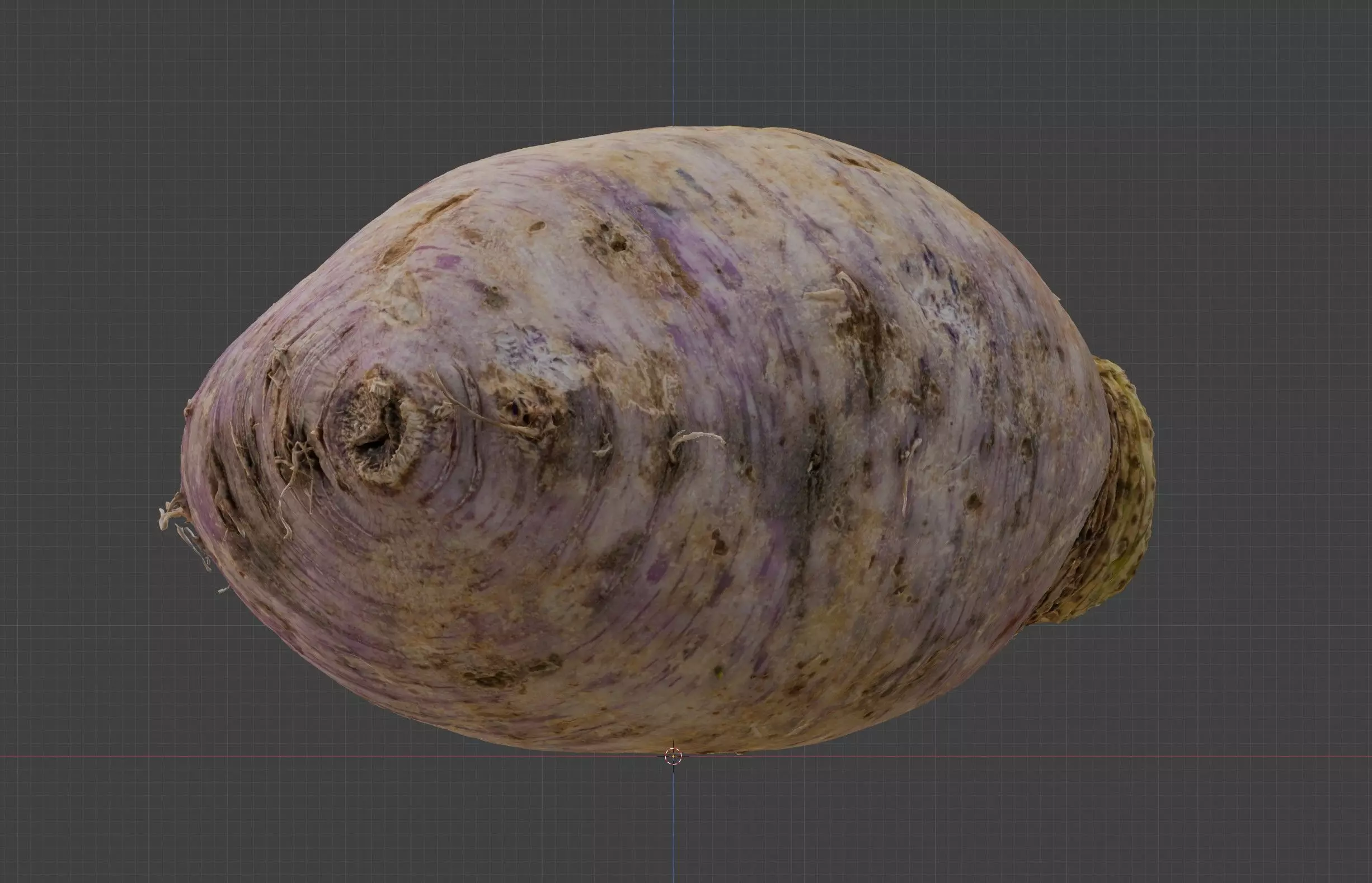 radish 3D model_0