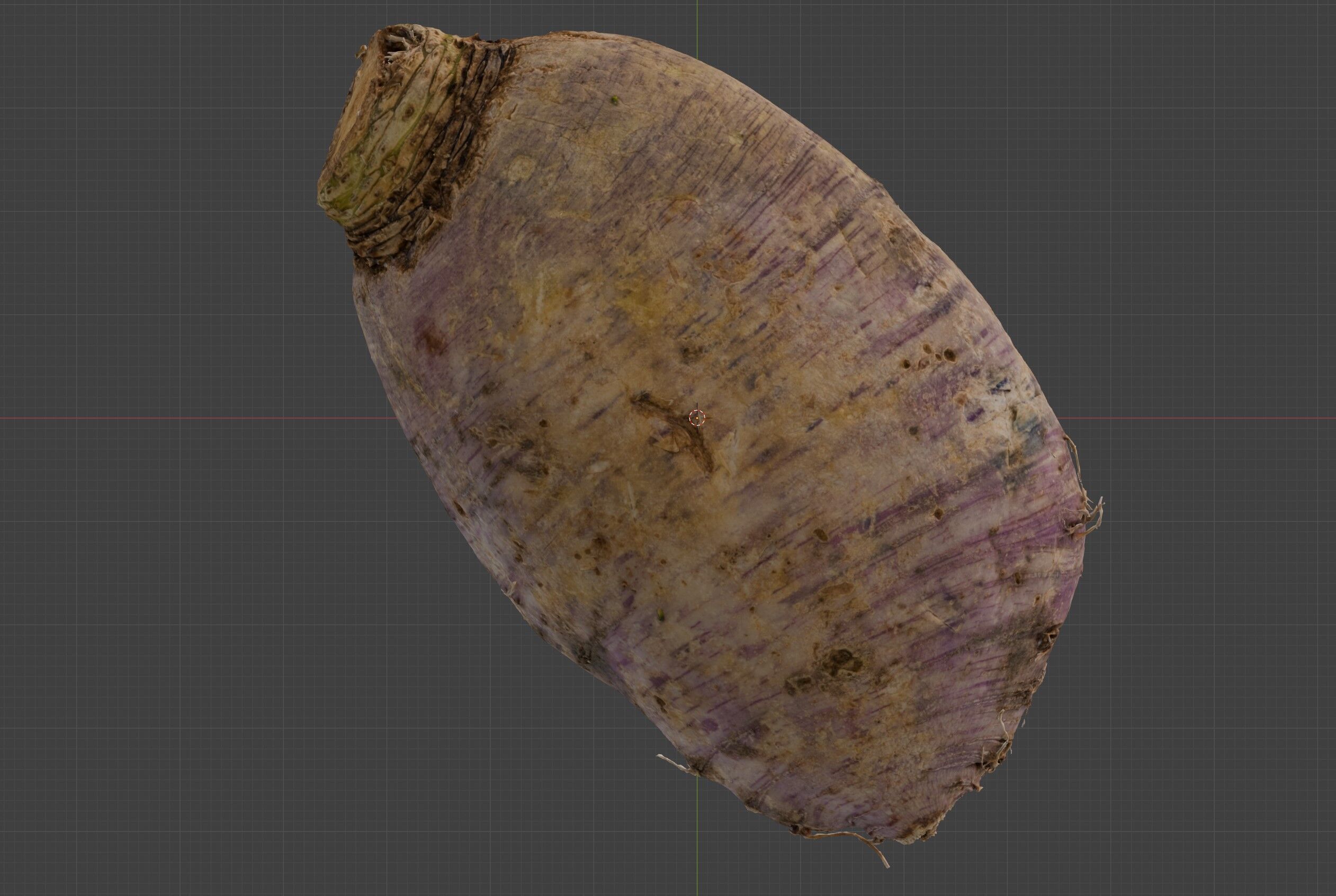 radish 3D model_6