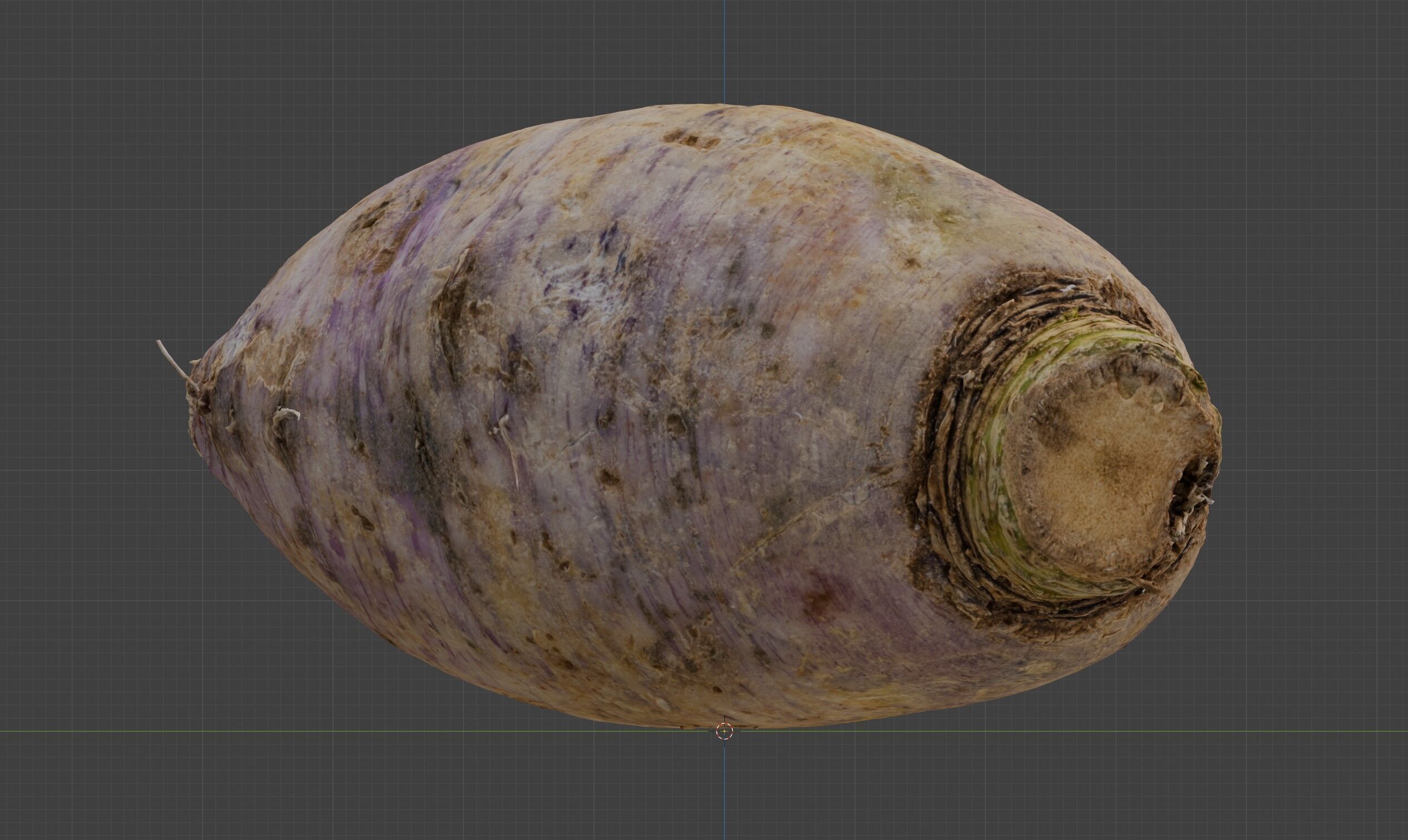radish 3D model_2
