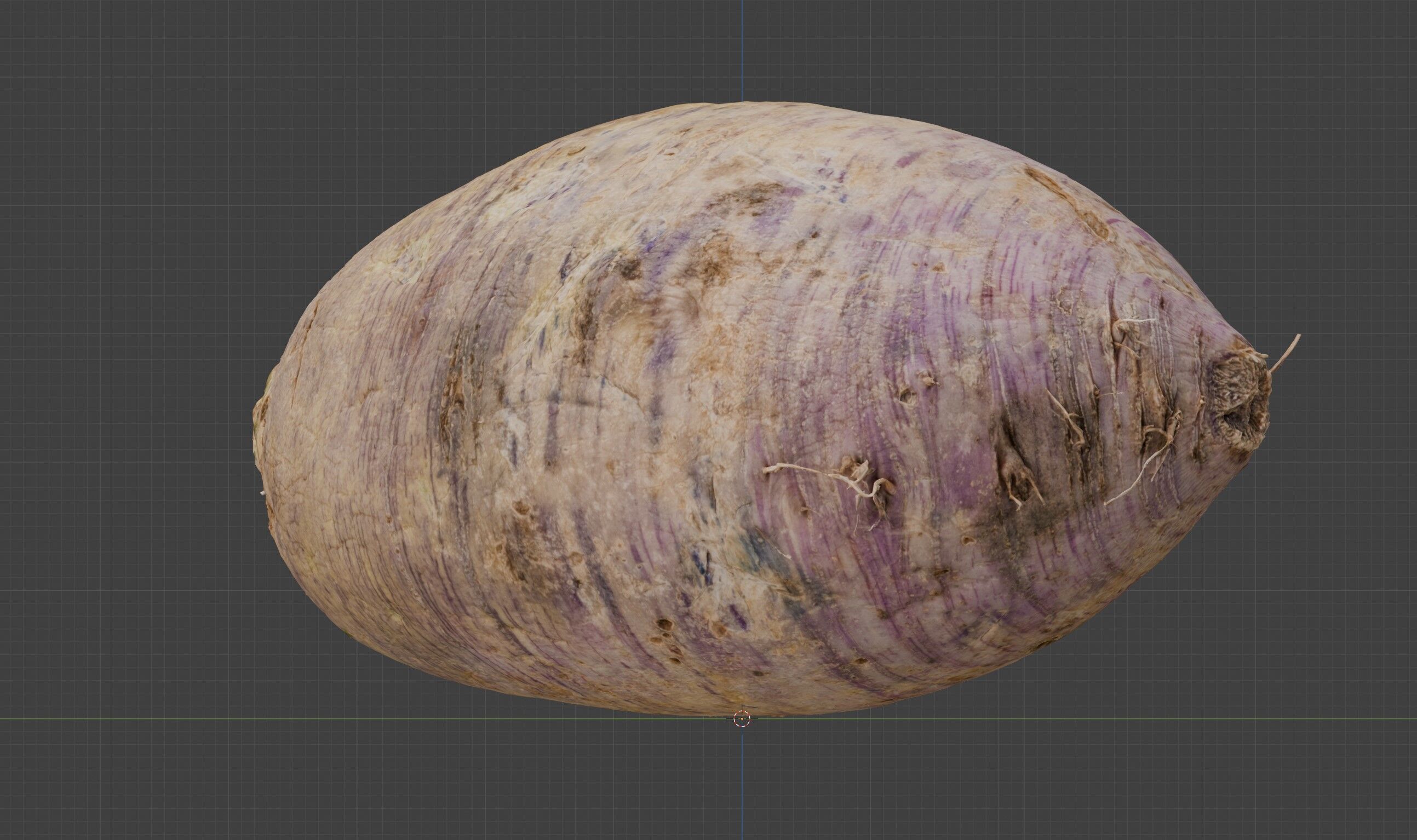 radish 3D model_4
