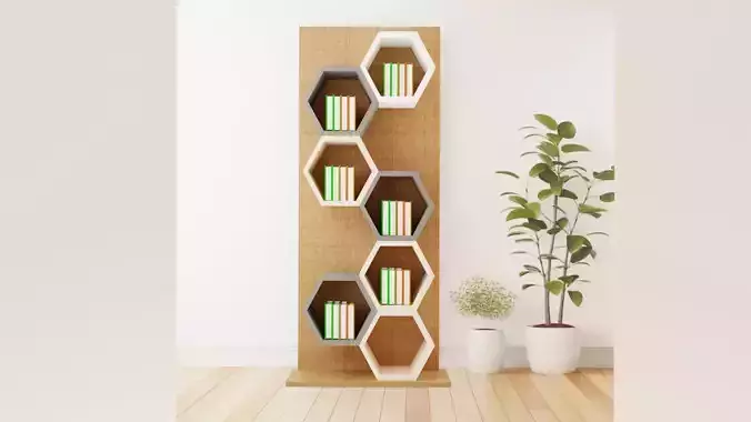 Bookcase 04