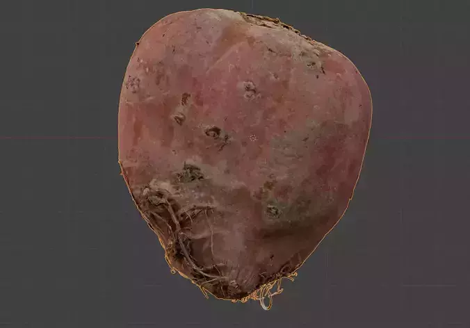 beetroot 3D model