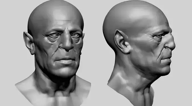 Fantasy Male Head A 3D model