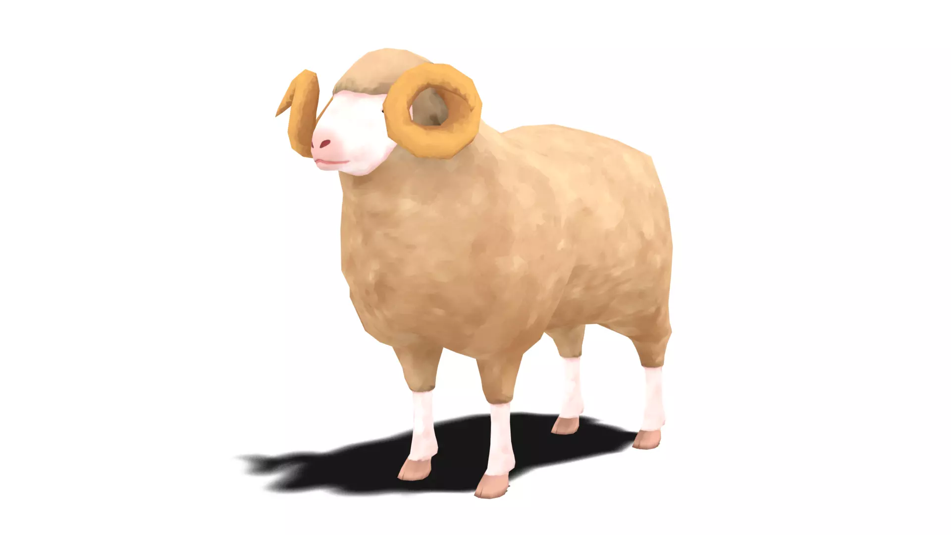 Sheep - Stylized Low-poly 3D model_0