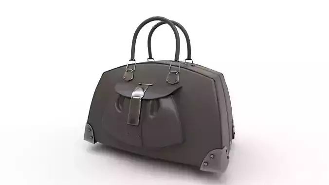 lady leather bag