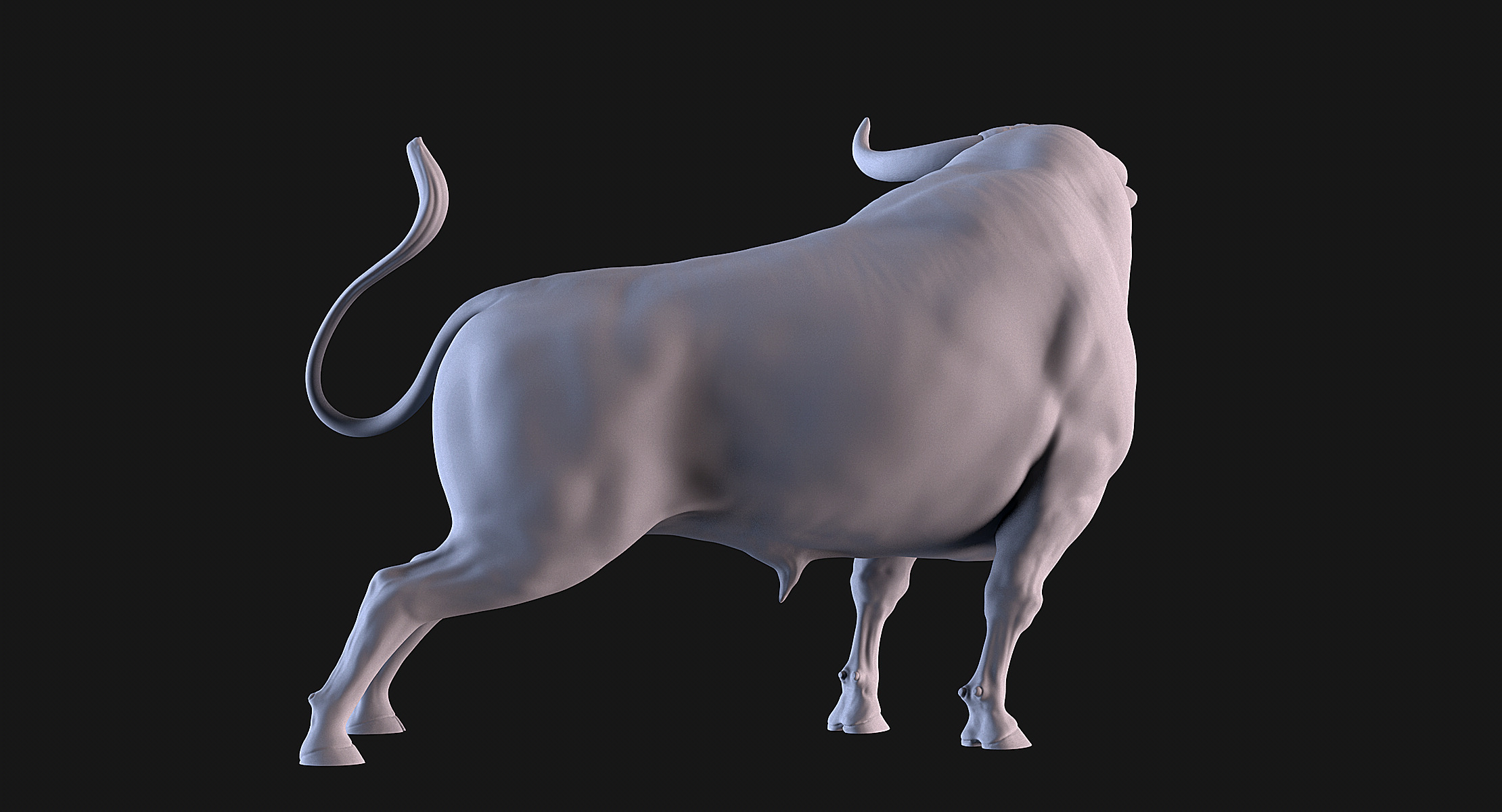 Bulls Pack 3D print model_7