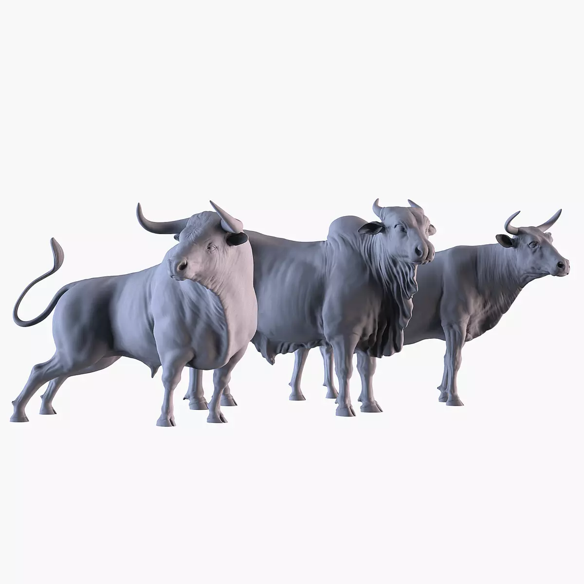 Bulls Pack 3D print model_0
