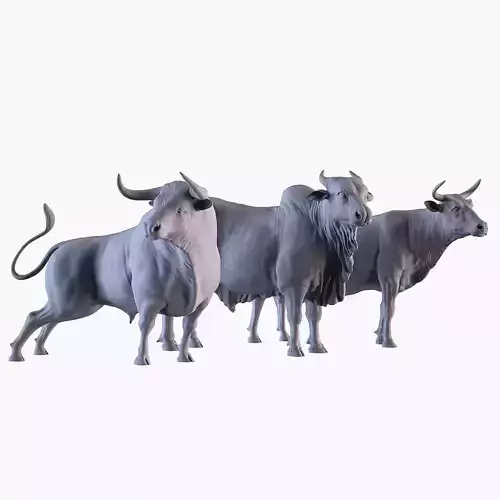 Bulls Pack 3D print model