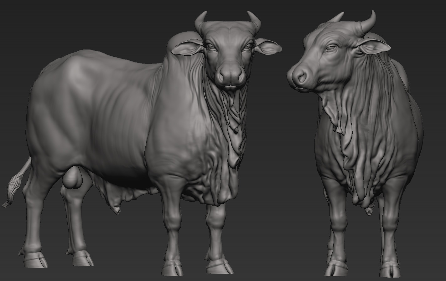 Bulls Pack 3D print model_12