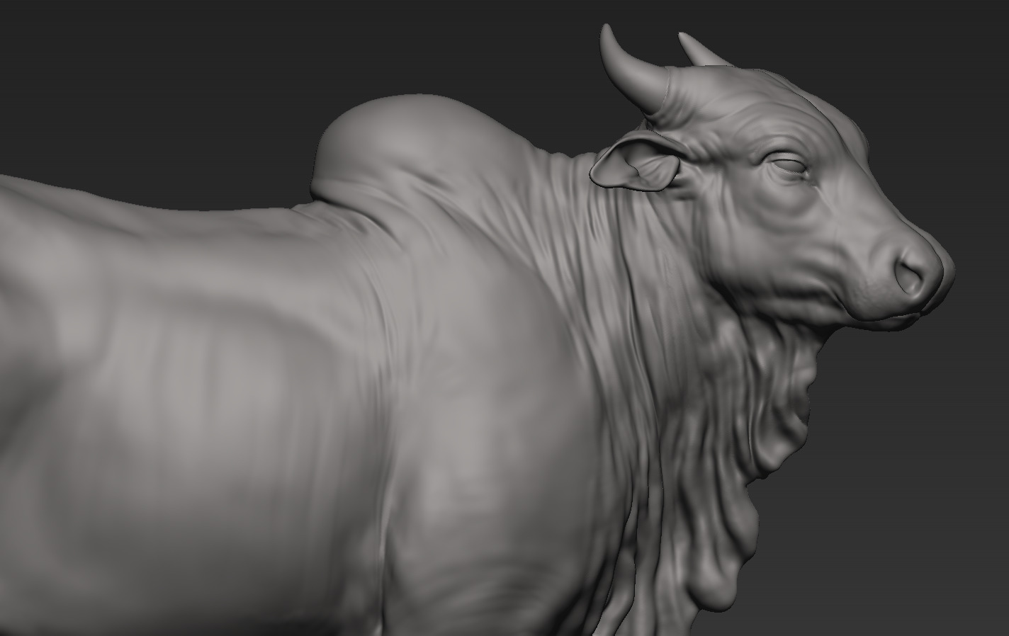 Bulls Pack 3D print model_15