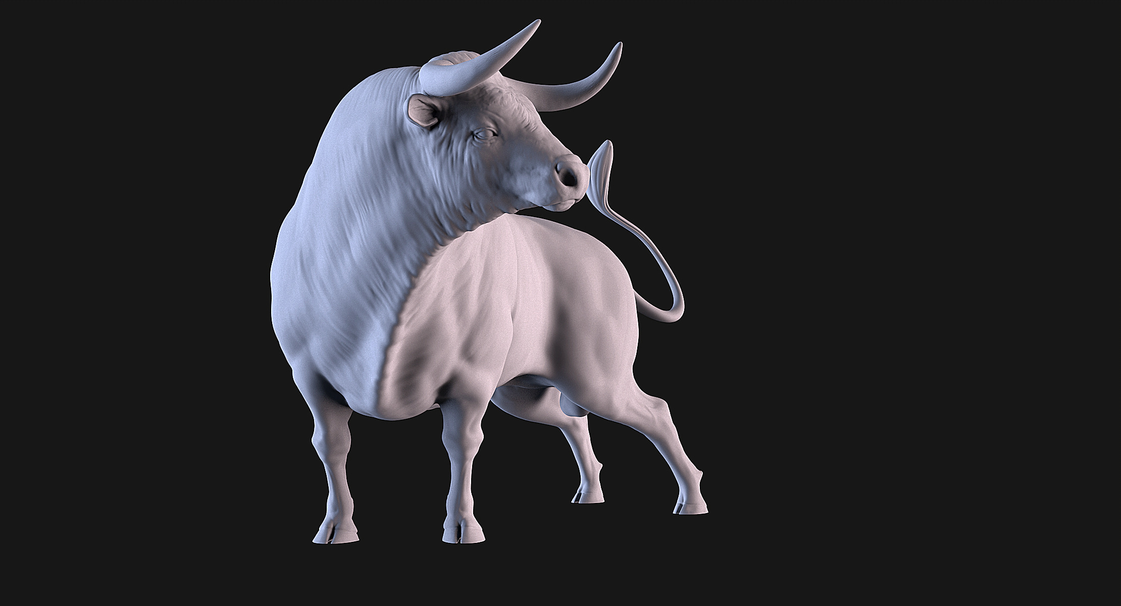 Bulls Pack 3D print model_6
