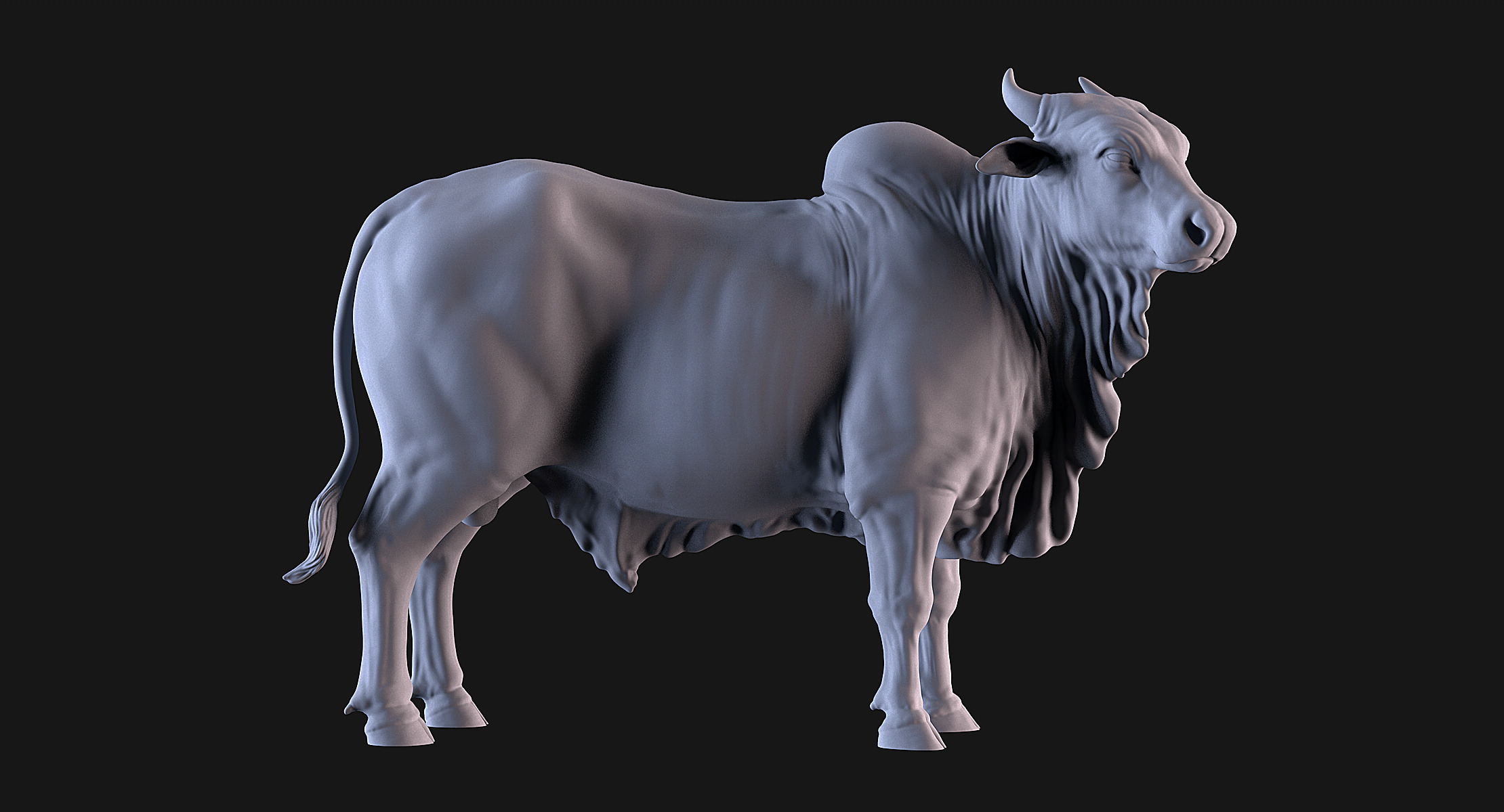 Bulls Pack 3D print model_3