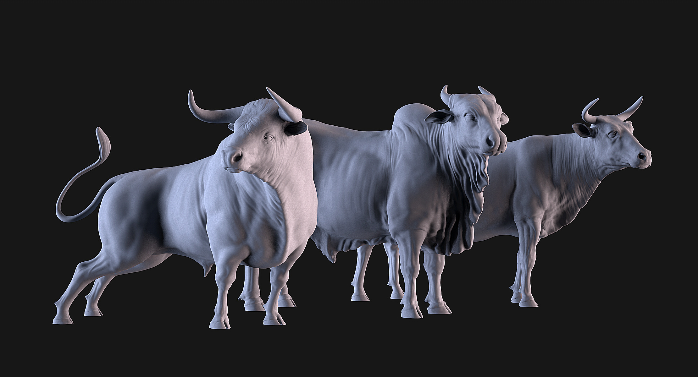 Bulls Pack 3D print model_1