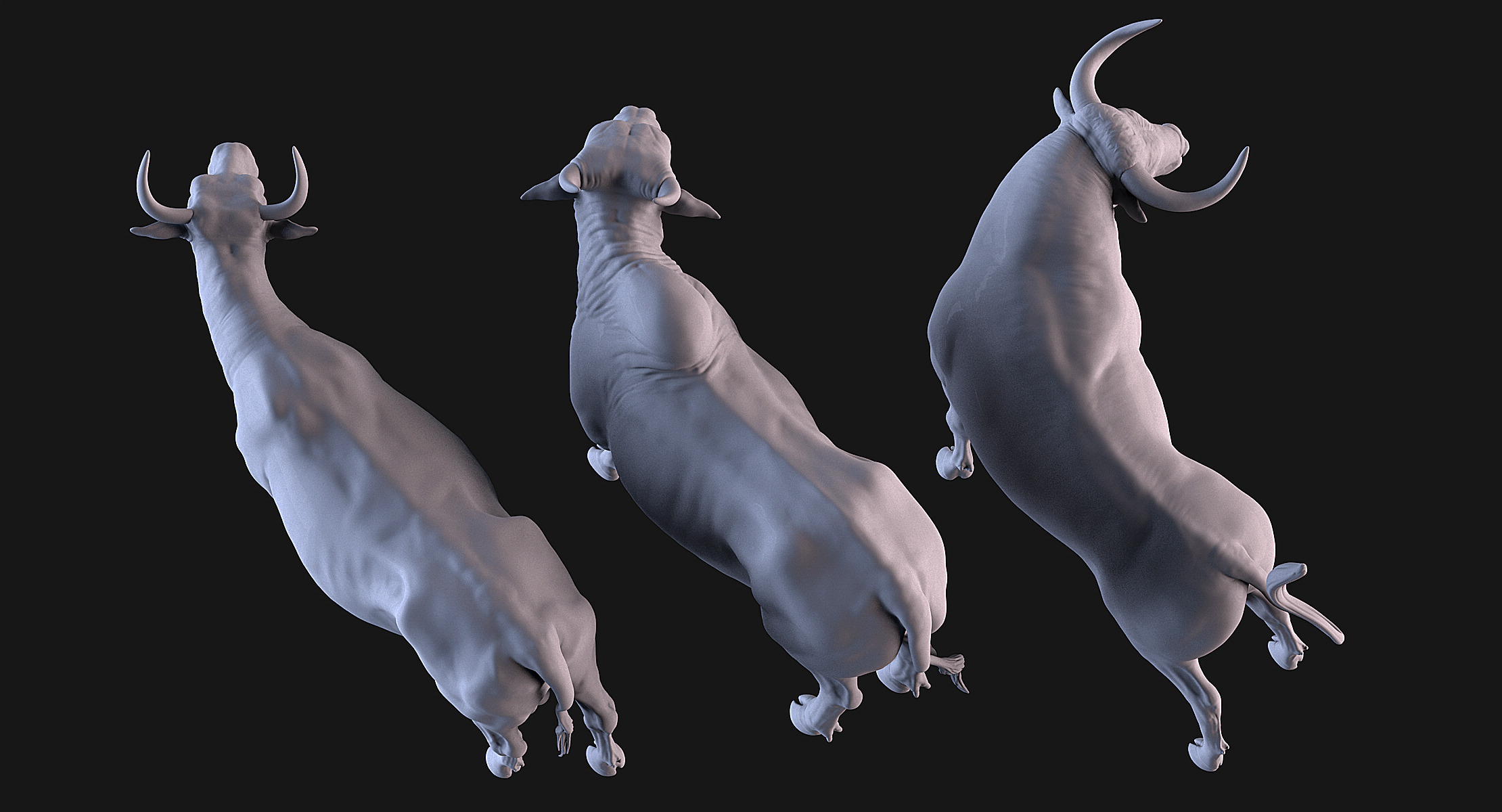 Bulls Pack 3D print model_5