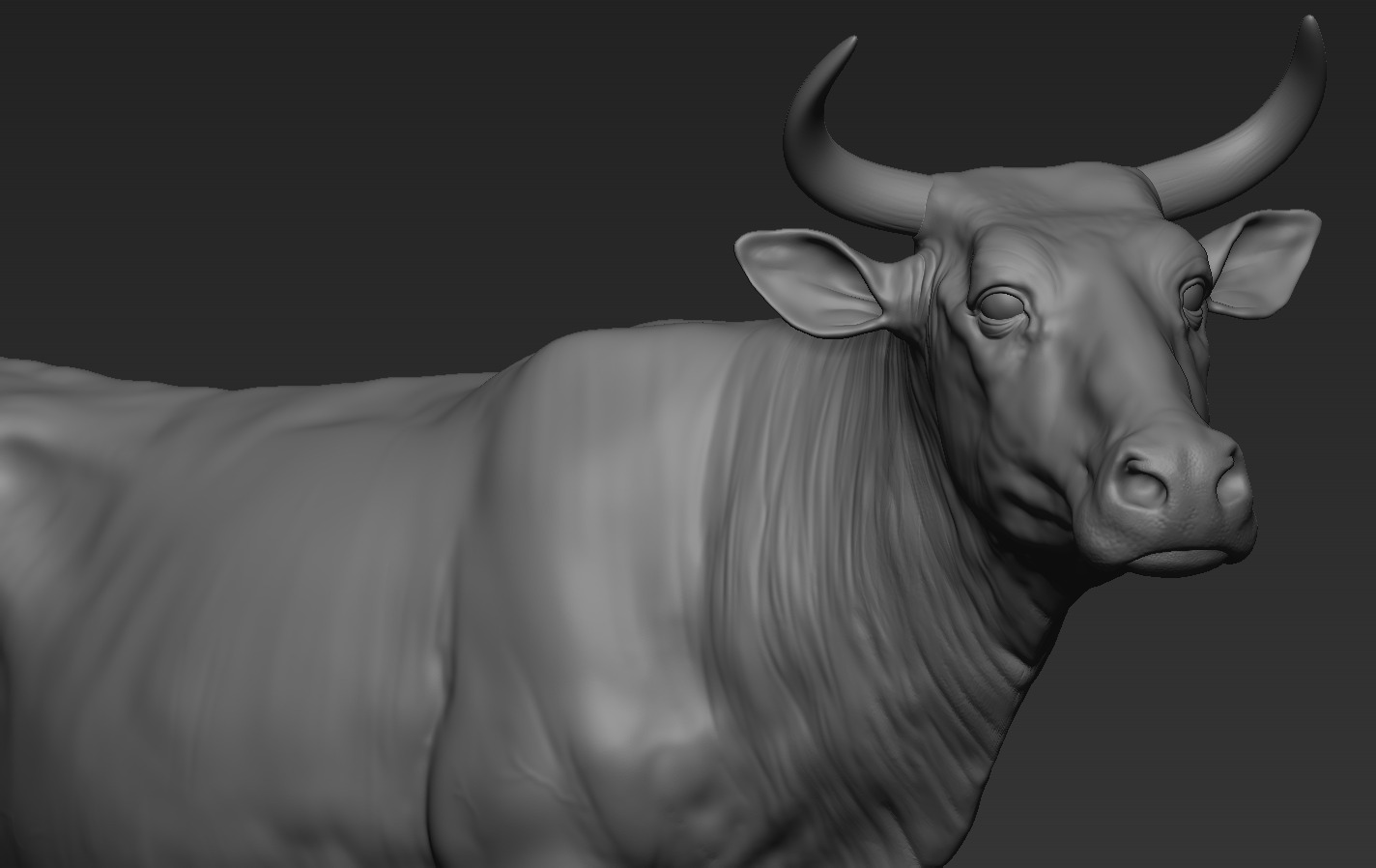 Bulls Pack 3D print model_14