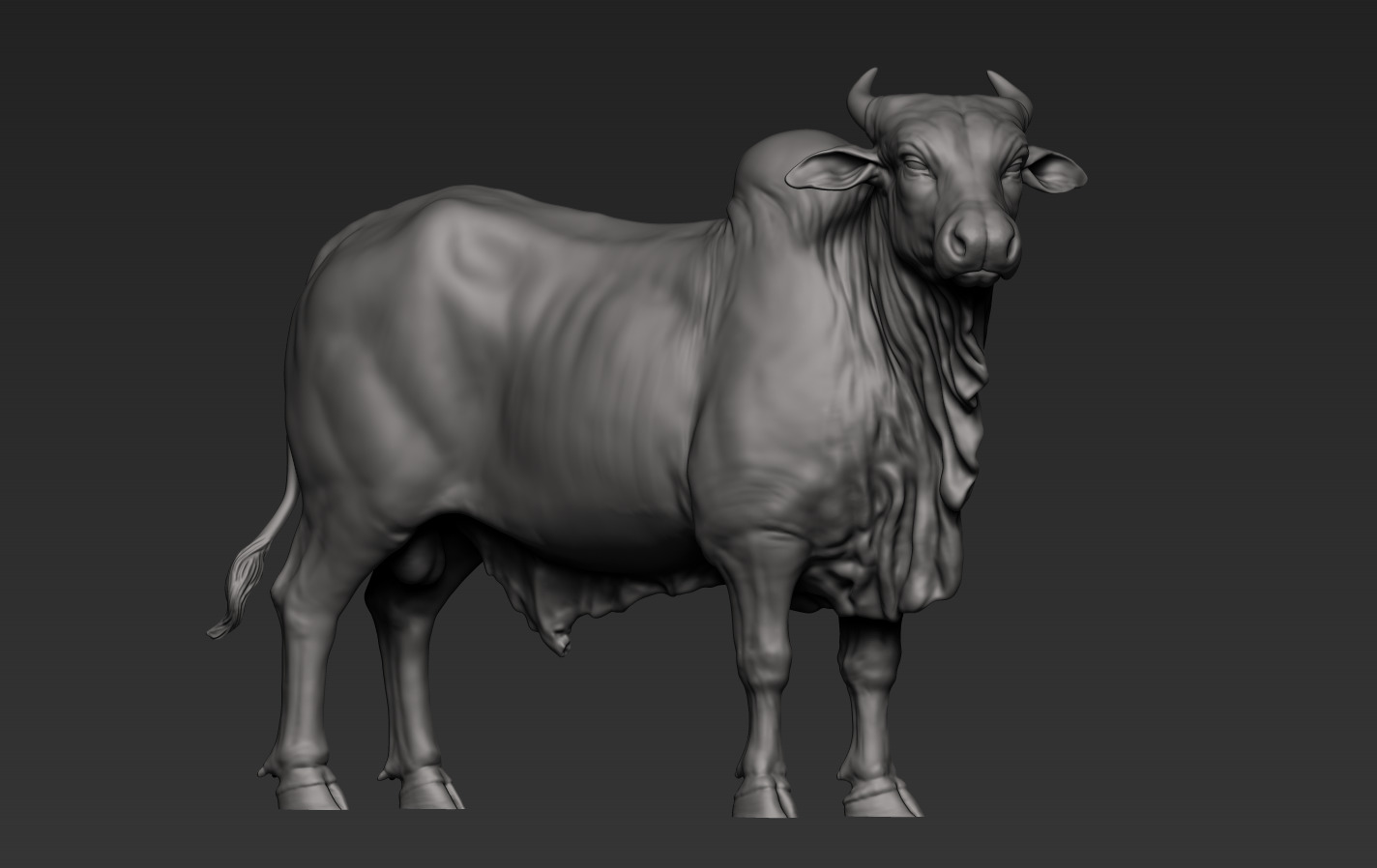 Bulls Pack 3D print model_11