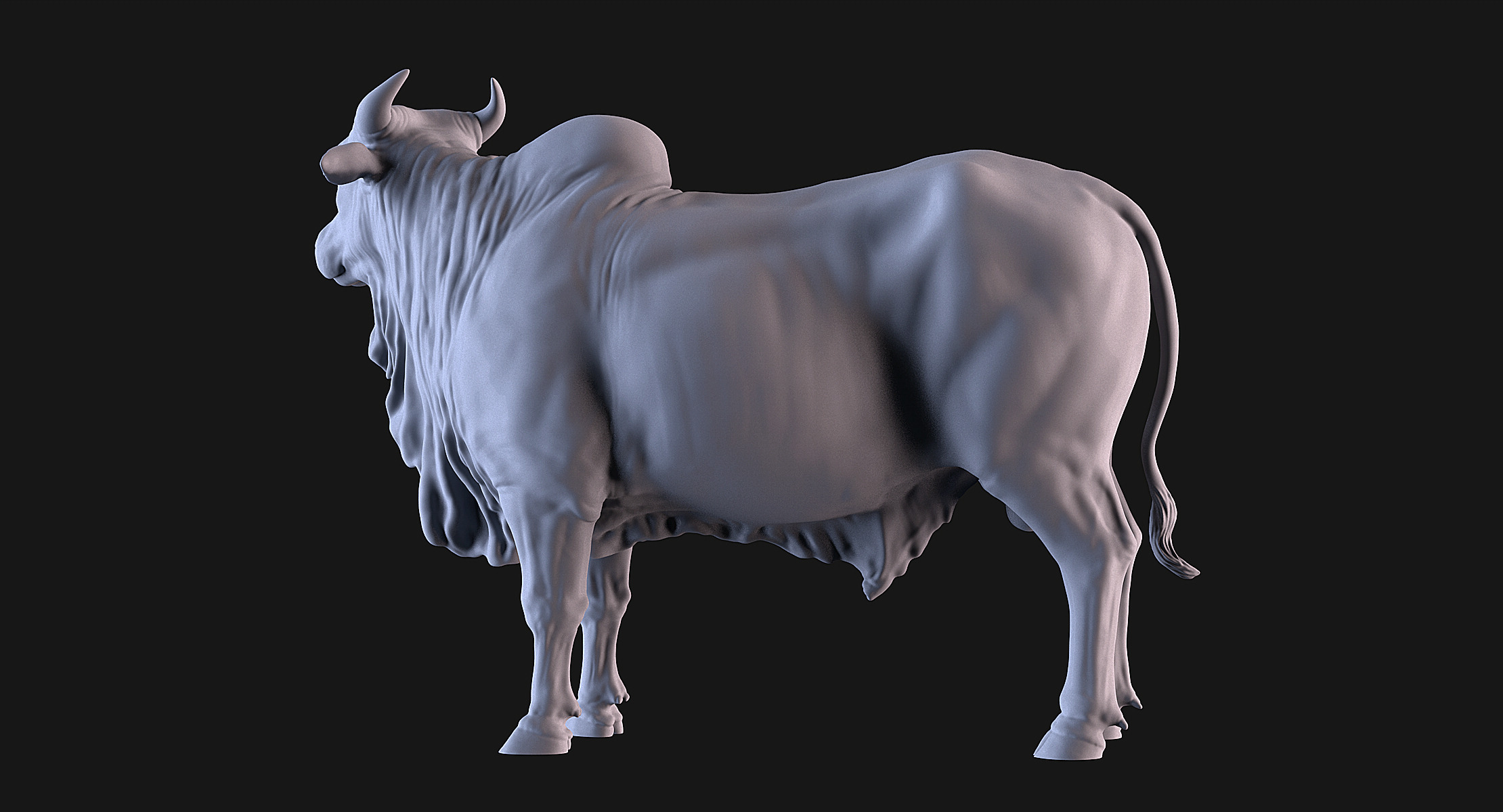Bulls Pack 3D print model_8