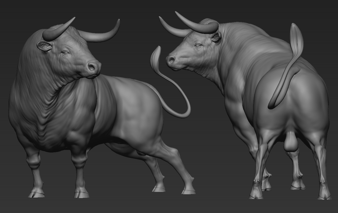Bulls Pack 3D print model_13