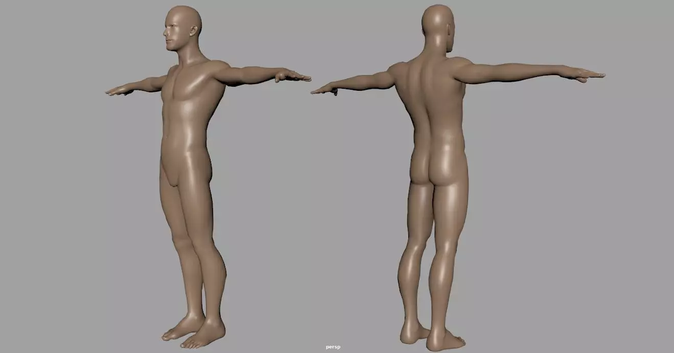 human body 3d model 3D model_0