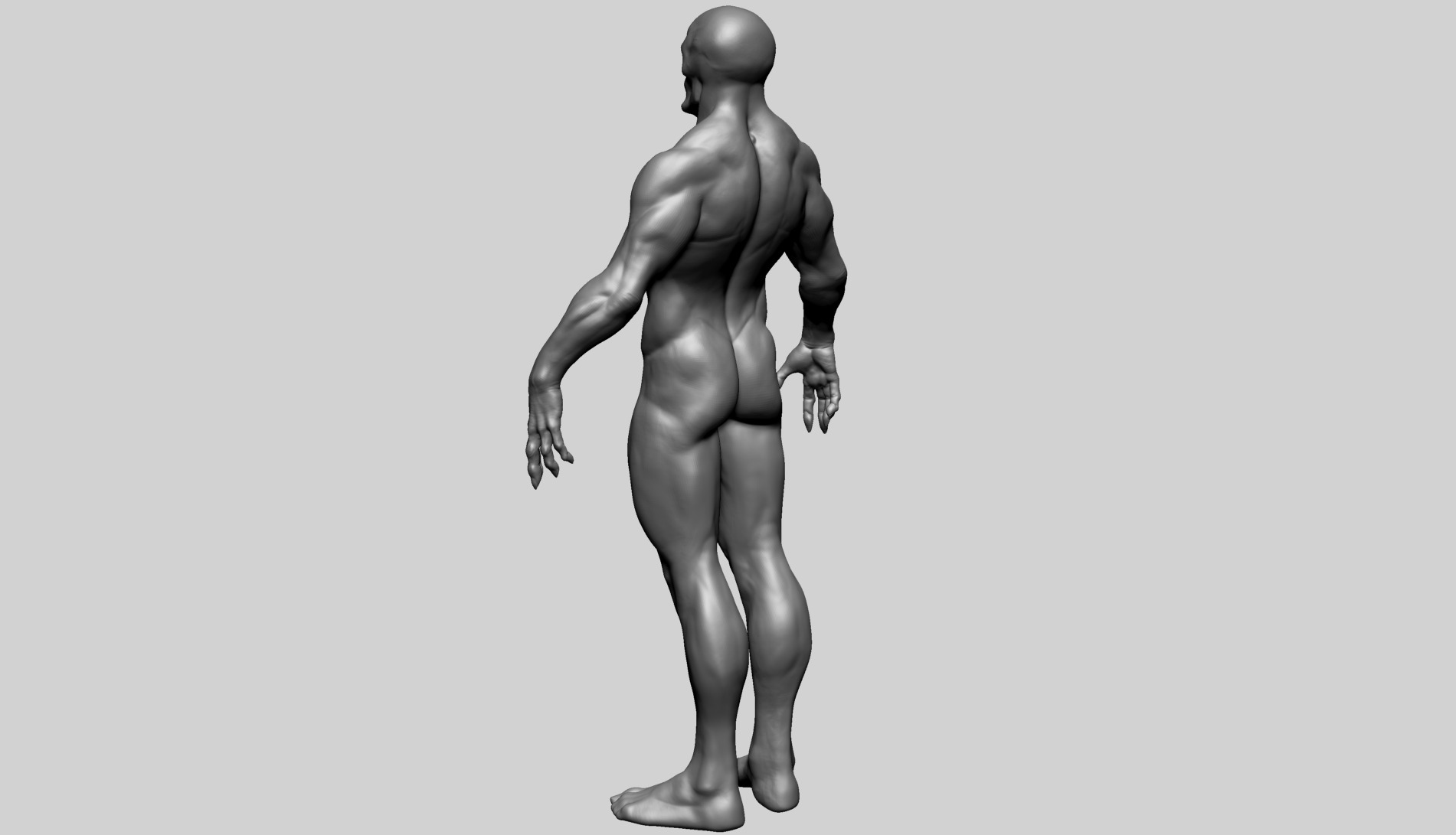 Fantasy Male Anatomy B 3D model_5