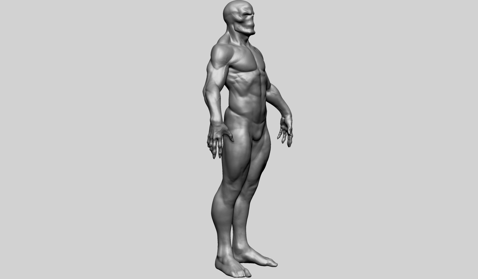 Fantasy Male Anatomy B 3D model_2