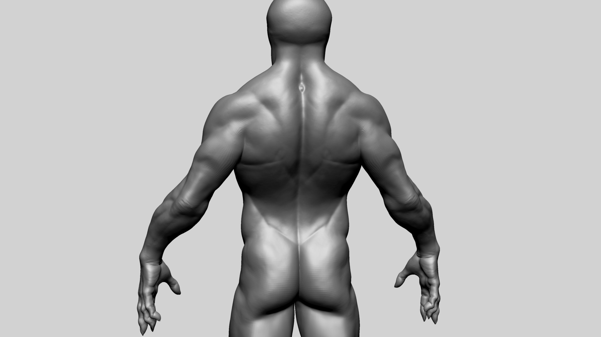 Fantasy Male Anatomy B 3D model_10