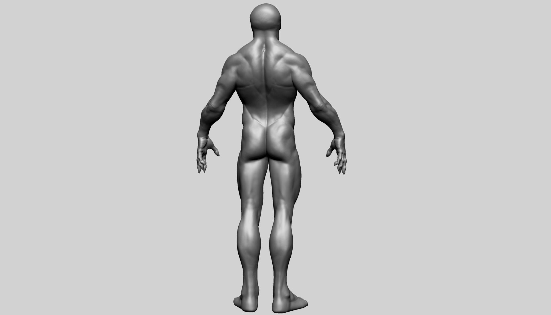 Fantasy Male Anatomy B 3D model_4