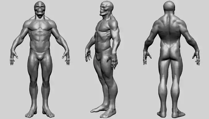 Fantasy Male Anatomy B 3D model