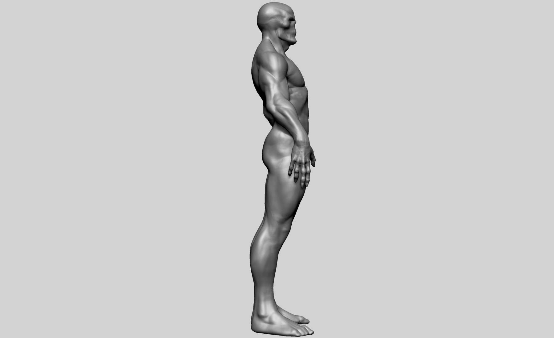 Fantasy Male Anatomy B 3D model_3