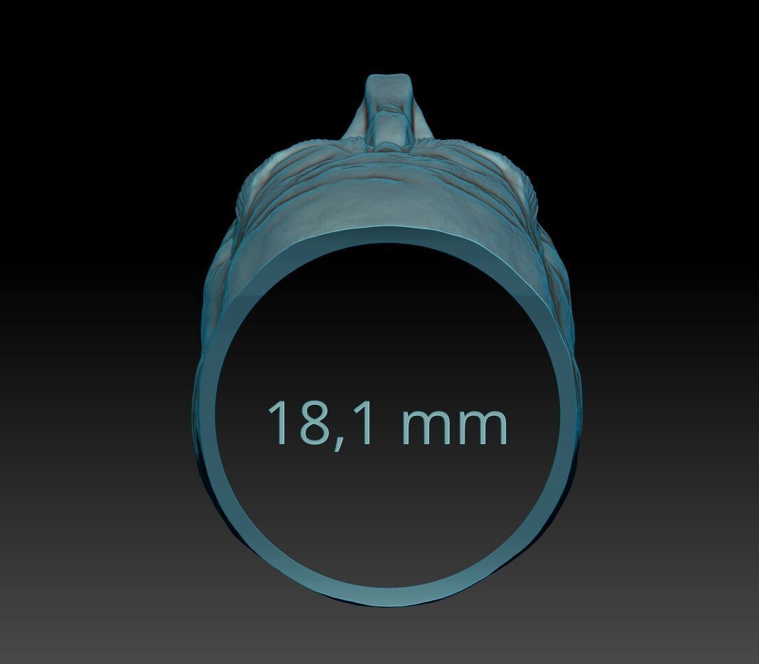 Freedom of Silence RING for Print and Cast 3D print model_21