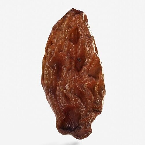 Scanned  dry grape raisin Low-poly 3D model