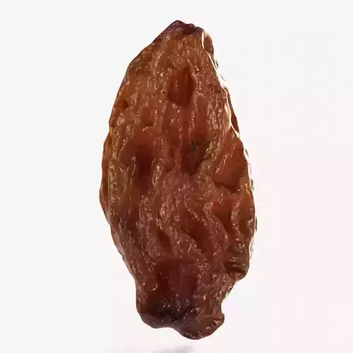 Scanned  dry grape raisin