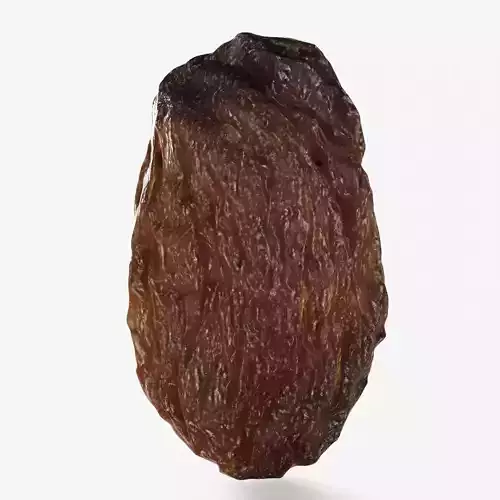 Scanned  dry grape raisin