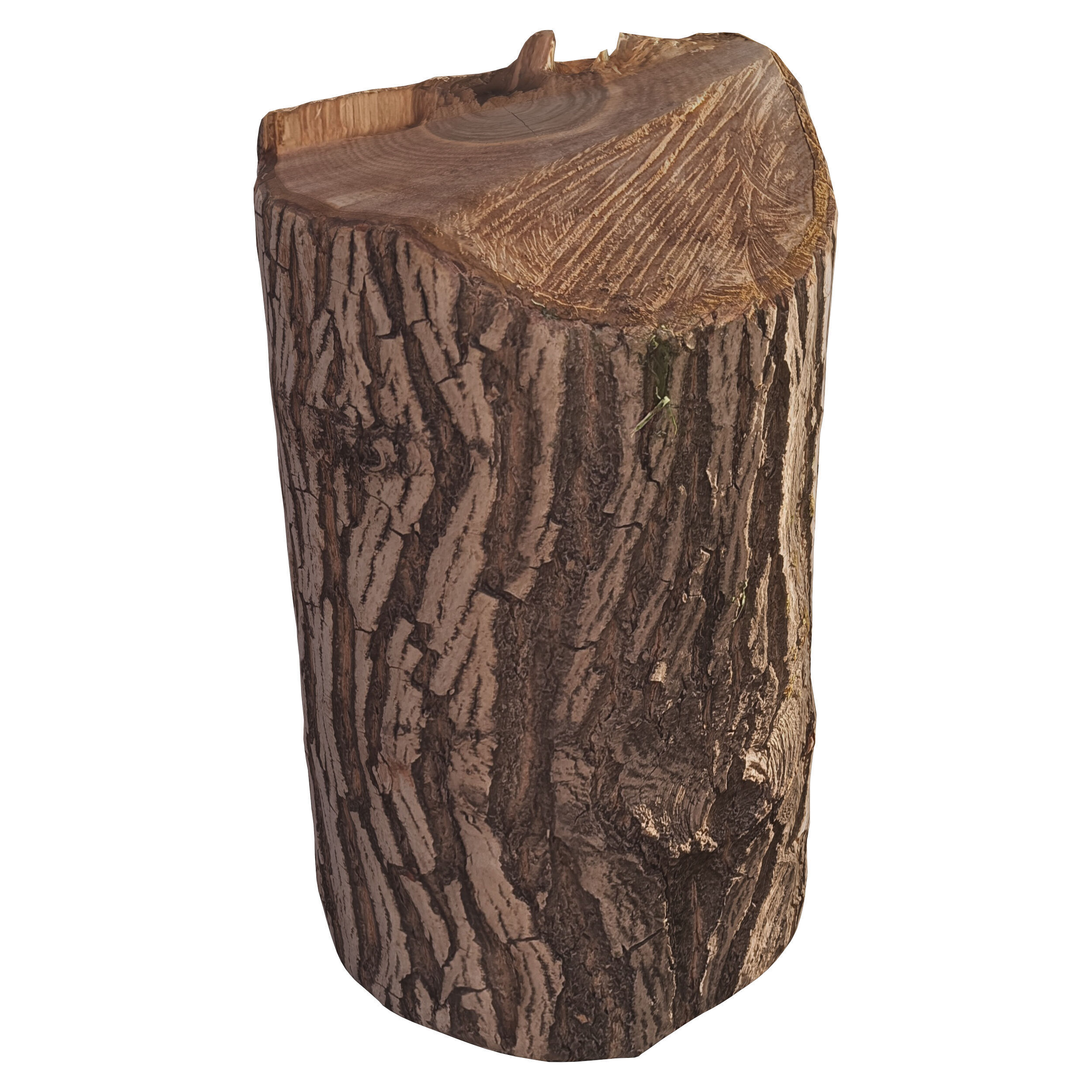 trunk 100 3D model_2