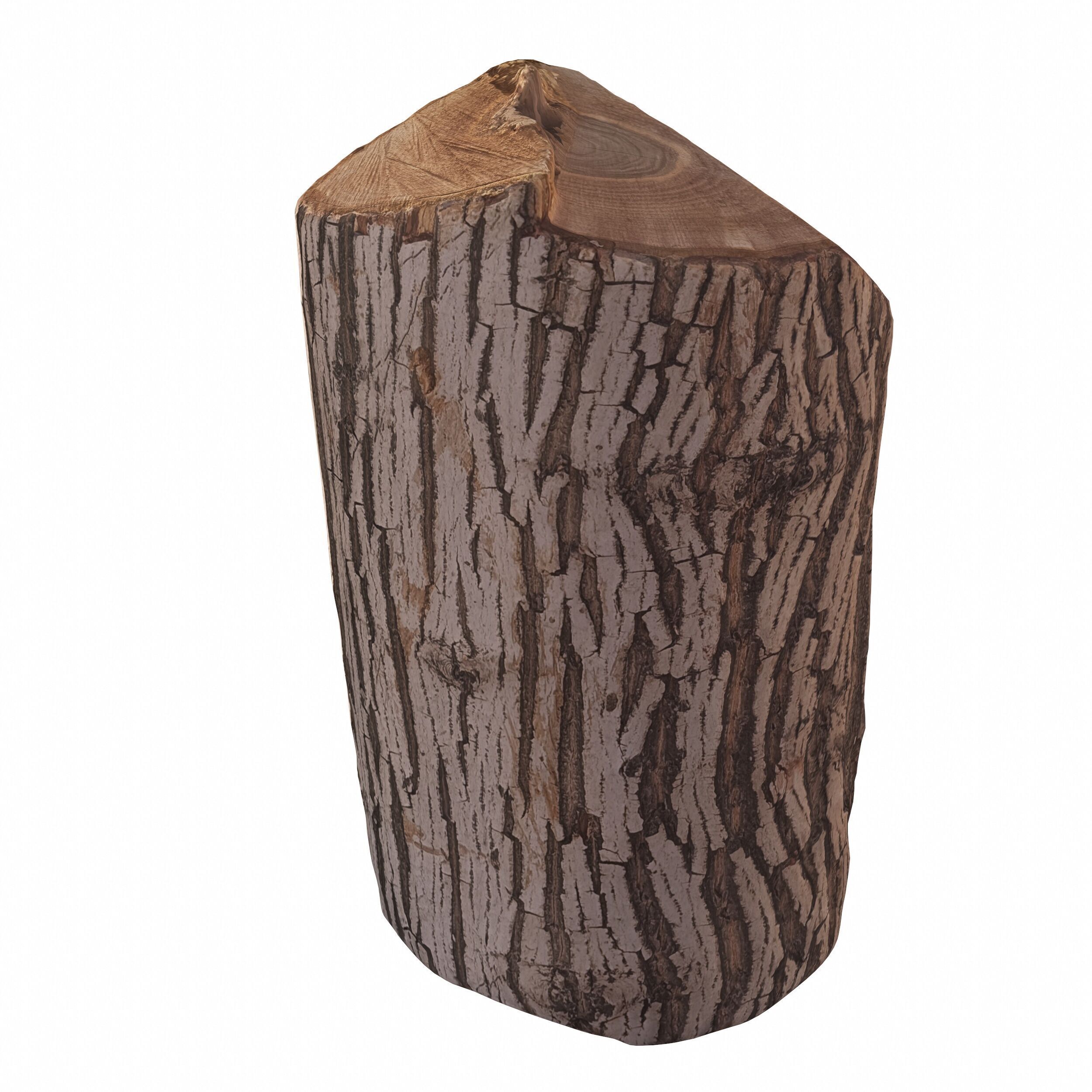 trunk 100 3D model_3