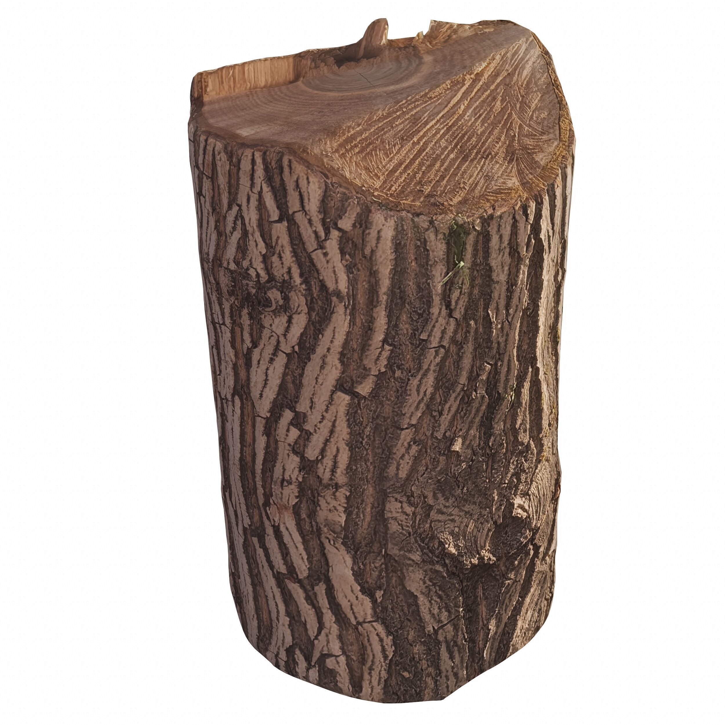 trunk 100 3D model_1