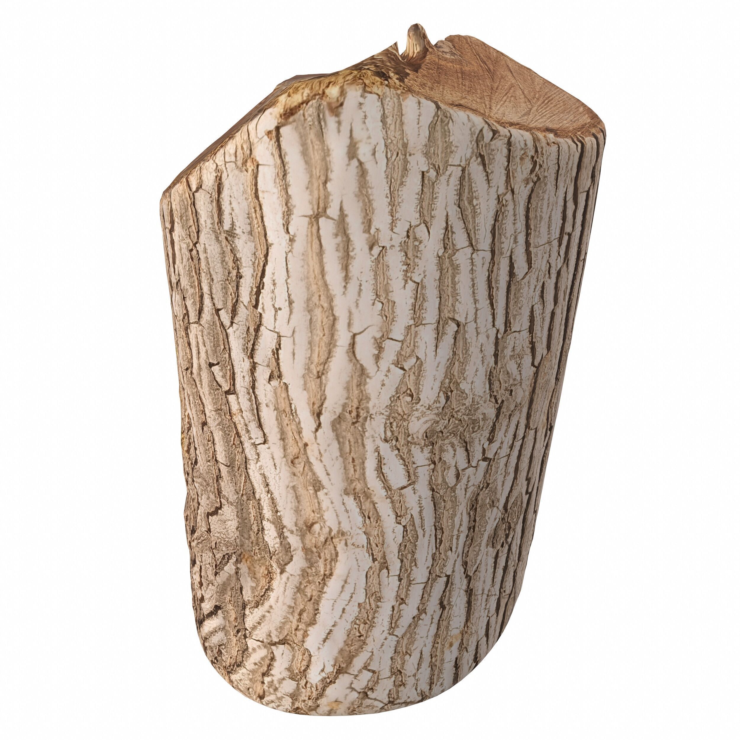 trunk 100 3D model_6